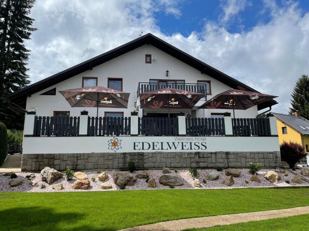 Wellness Hotel Edelweiss Liberec Exteriör bild